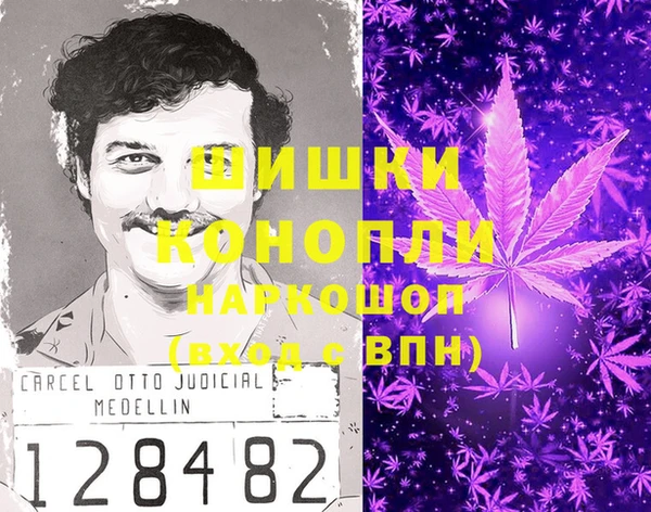 стафф Белокуриха