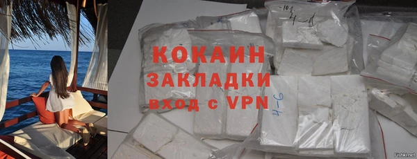 индика Беломорск