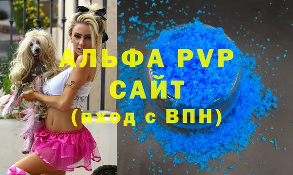 стафф Белокуриха