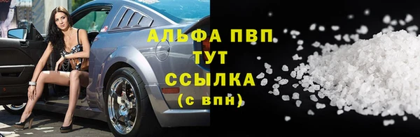индика Беломорск