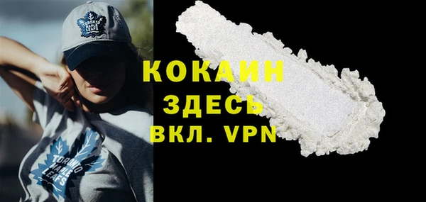 индика Беломорск