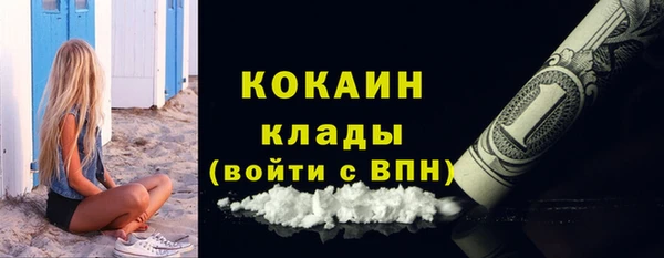 индика Беломорск