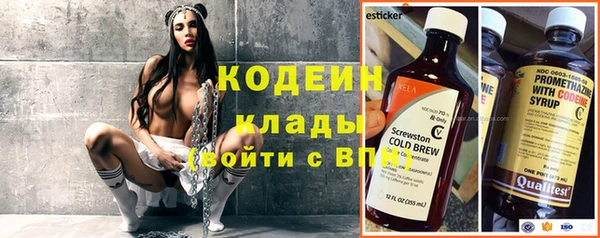 индика Беломорск