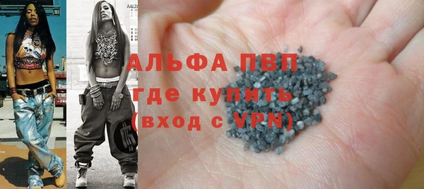 индика Беломорск